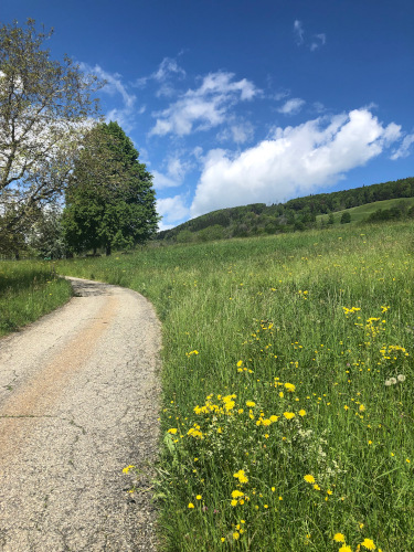 Sicht auf heutige Grünzone